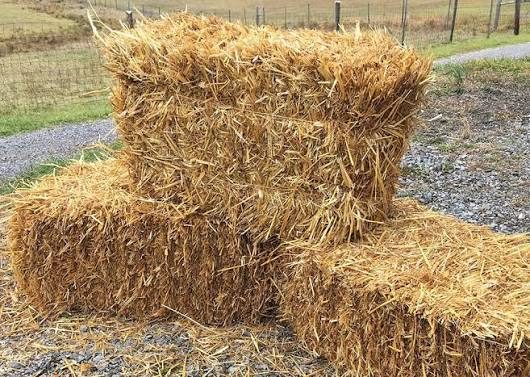 Straw